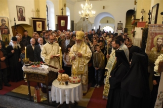 _SHA6296 (Large) _SHA6296 (Large)