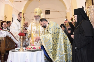 _SHA6301 (Large) _SHA6301 (Large)