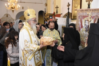 _SHA6304 (Large) _SHA6304 (Large)