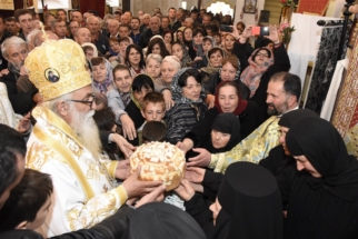 _SHA6306 (Large) _SHA6306 (Large)