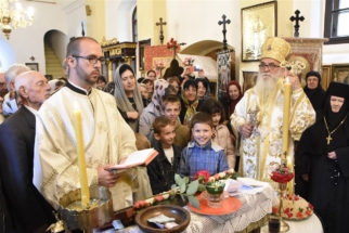 _SHA6318 (Large) _SHA6318 (Large)