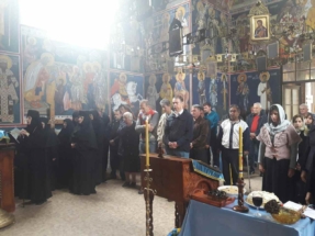 viber image 1 viber image 1