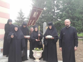 viber image 7 viber image 7