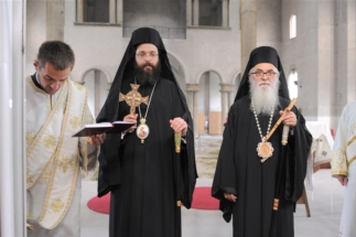 2017-06-05-004v 2017-06-05-004v