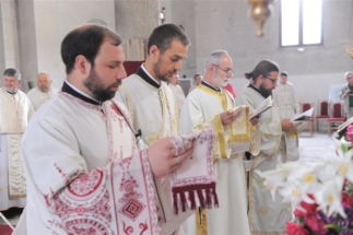 2017-06-05-009v 2017-06-05-009v