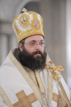 2017-06-05-011v 2017-06-05-011v