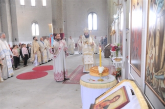 2017-06-05-013v 2017-06-05-013v