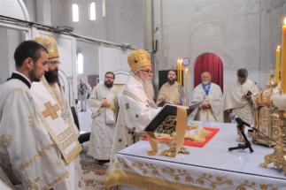 2017-06-05-016v 2017-06-05-016v