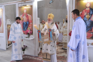 2017-06-05-017v 2017-06-05-017v