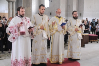 2017-06-05-020v 2017-06-05-020v