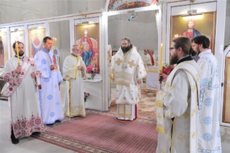 2017-06-05-024v 2017-06-05-024v