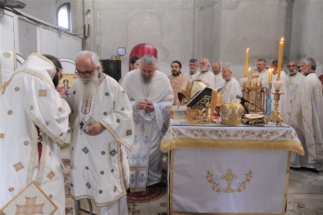 2017-06-05-029v 2017-06-05-029v