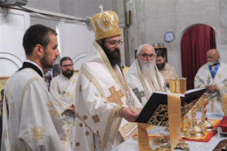 2017-06-05-031v 2017-06-05-031v