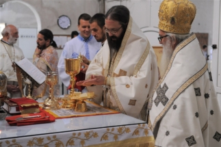 2017-06-05-036v 2017-06-05-036v