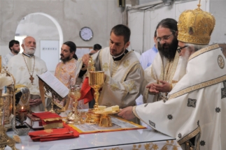 2017-06-05-037v 2017-06-05-037v