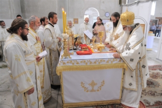 2017-06-05-040v 2017-06-05-040v