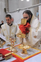 2017-06-05-041v 2017-06-05-041v