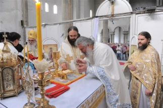 2017-06-05-042v 2017-06-05-042v