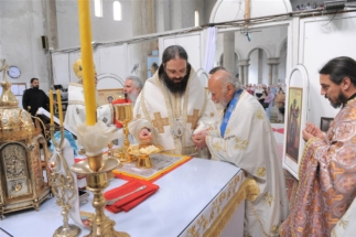 2017-06-05-044v 2017-06-05-044v