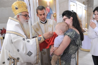 2017-06-05-046v 2017-06-05-046v