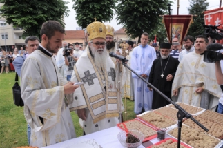 2017-06-05-114v 2017-06-05-114v