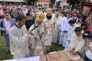 2017-06-05-116v 2017-06-05-116v