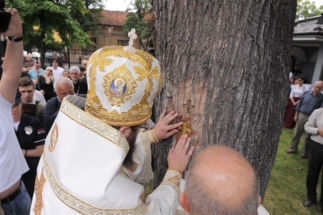 2017-06-05-121v 2017-06-05-121v