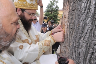 2017-06-05-122v 2017-06-05-122v