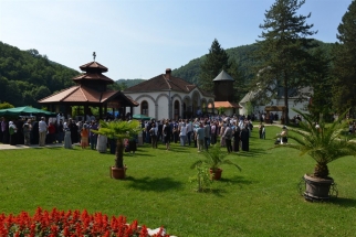 2017-06-14-029v 2017-06-14-029v