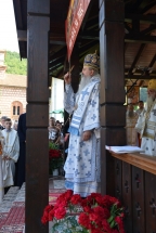 2017-06-14-036v 2017-06-14-036v