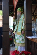 2017-06-14-037v 2017-06-14-037v