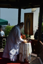 2017-06-14-040v 2017-06-14-040v