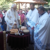 Picture 074 Picture 074