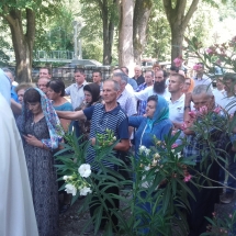 Picture 097 Picture 097