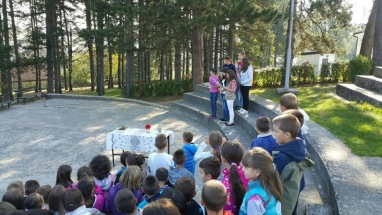 IMG-b55ceee017a885f4e3b20bc6205cb2bd-V IMG-b55ceee017a885f4e3b20bc6205cb2bd-V