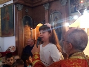 IMG-20180127-WA0005 IMG-20180127-WA0005