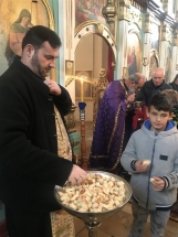 C7505805-A116-4417-B673-2EB131E58256 C7505805-A116-4417-B673-2EB131E58256