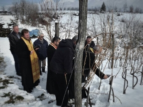 IMG-e4958ddca5e165b45ca9fc9c6f860035-V