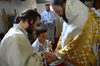 dsc_0540_39118603605_o