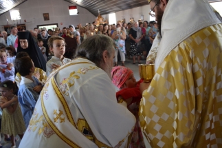 dsc_0548_28237621389_o