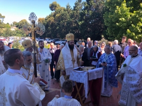 img_3905_25235665737_o img_3905_25235665737_o