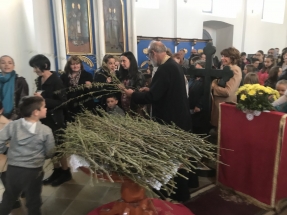 396E1B75-928F-4C3C-82A5-F0A7F8BC3423