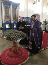 A2392D10-D9FA-4F03-8B3A-63BA605176A4