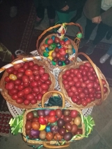 EB278F56-9902-40EE-B02C-0B7CB87473FD EB278F56-9902-40EE-B02C-0B7CB87473FD