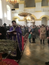 F72AB82B-8FD1-494E-A946-7A57704CCC36