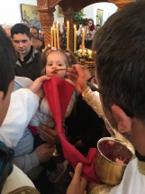 IMG-19e21c8e3c804ad2619cec365335fec8-V