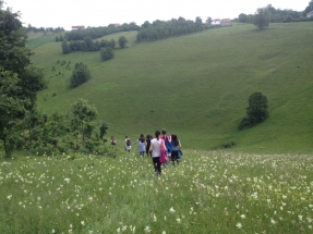 0-02-05-4c367dee03be14f874d10288b5778e781cd1990dbff2996e7ba33d56ee242a14_3fd539b8