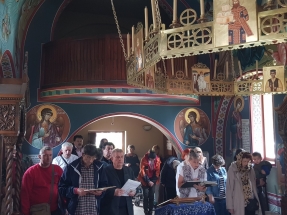 20180617_094454 20180617_094454