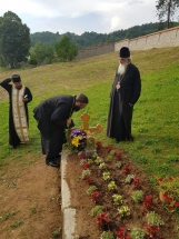 IMG-1499f182ac5d9980a47691e4d35be5b3-V