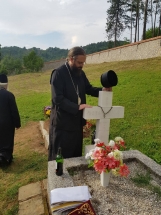 IMG-8390e2f6964cda20f4b7a84bcaa8c444-V